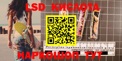 гашик Малгобек