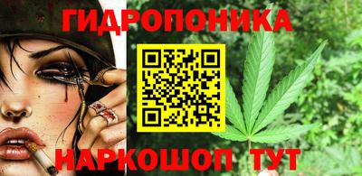 гашик Малгобек