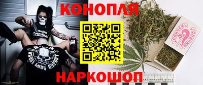 гашик Малгобек